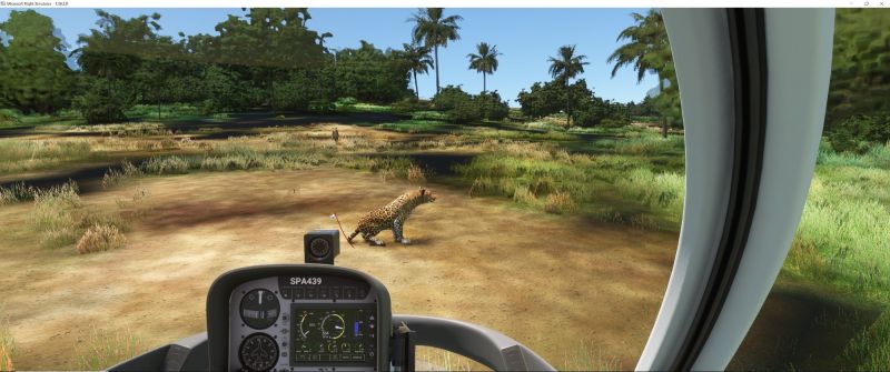 Wildlife in Fltsim 2020  12 