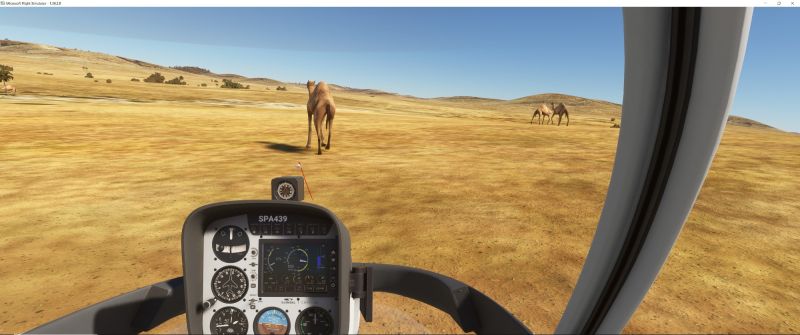 Wildlife in Fltsim 2020  14 