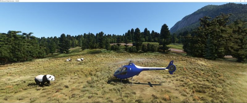 Wildlife in Fltsim 2020  16 