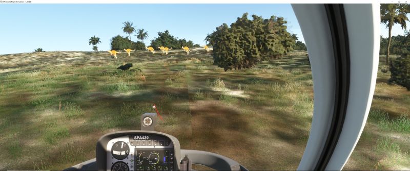 Wildlife in Fltsim 2020  9 